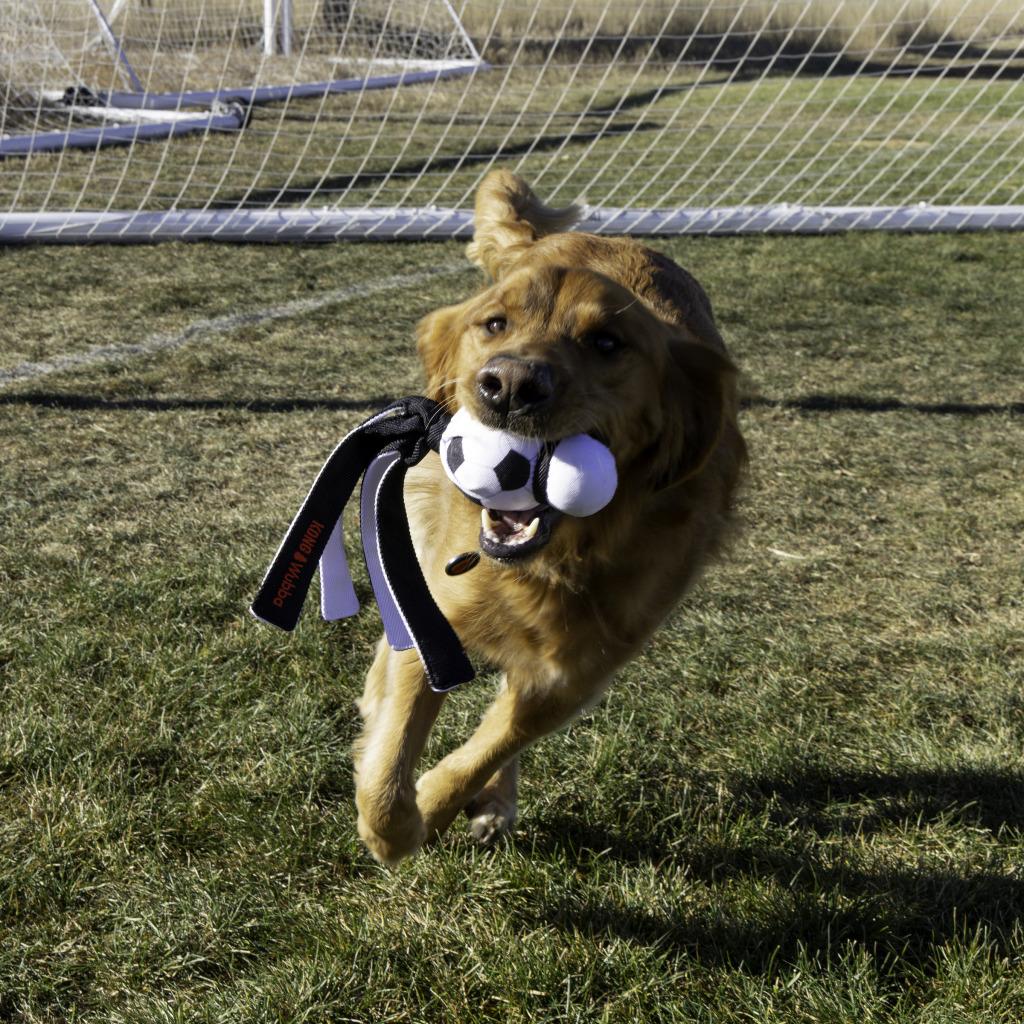 Kong Wubba Football Edition