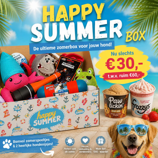 Happy Summer Box