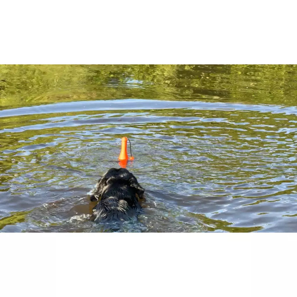Dog Comets Bobber diverse kleuren