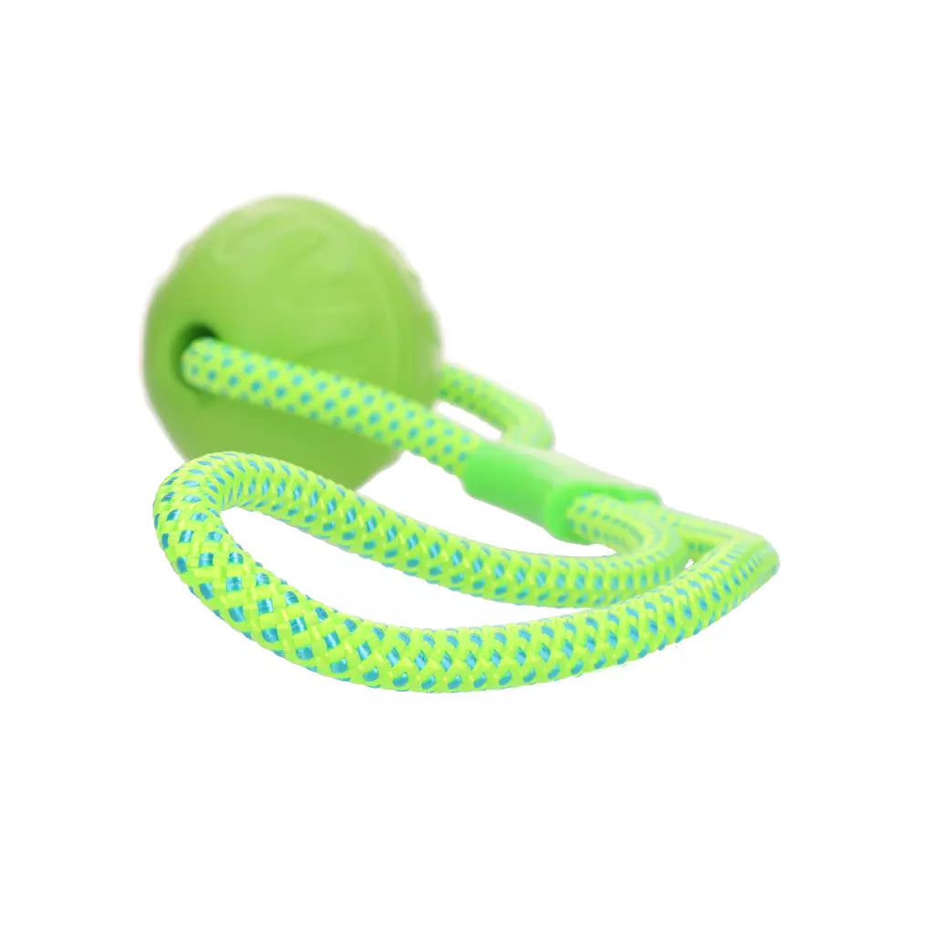 Dog Comets Vortex Trainingsbal