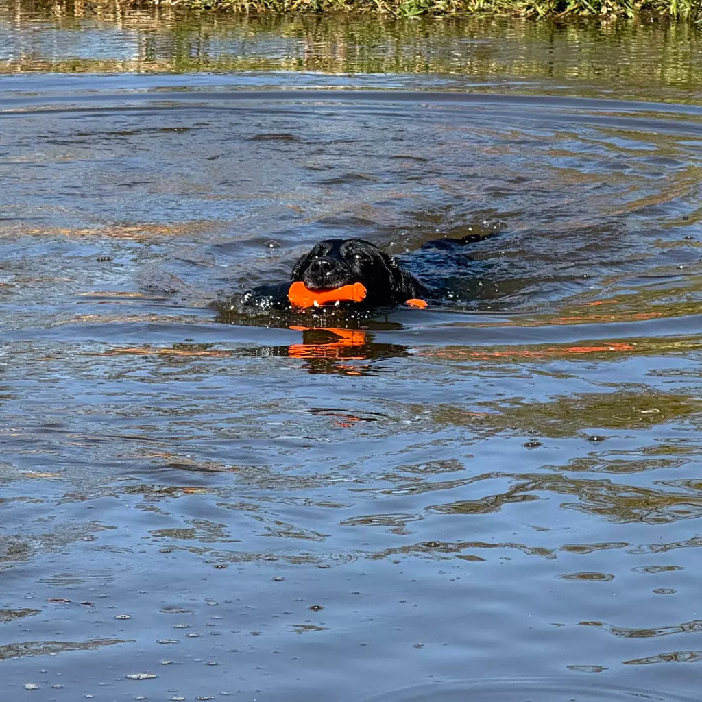 Dog Comets Bobber diverse kleuren