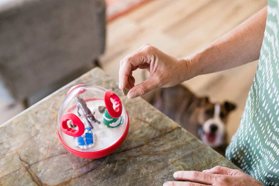 🎄 P.L.A.Y. Holiday Wobble Ball – Kerstpret met een beloning! 🎁🐾