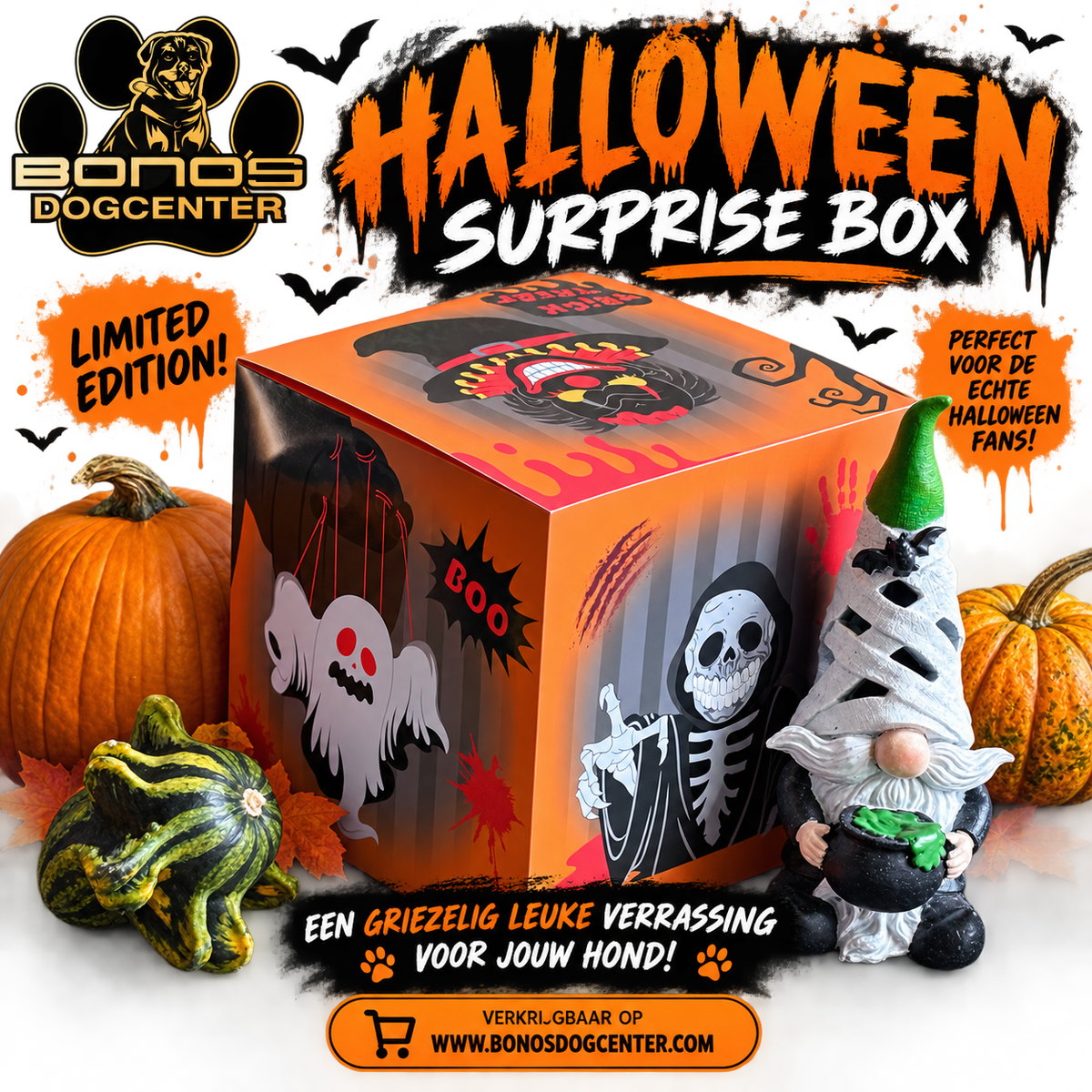 🎃 HALLOWEEN SURPRISE BOX 👻🐶 🎃