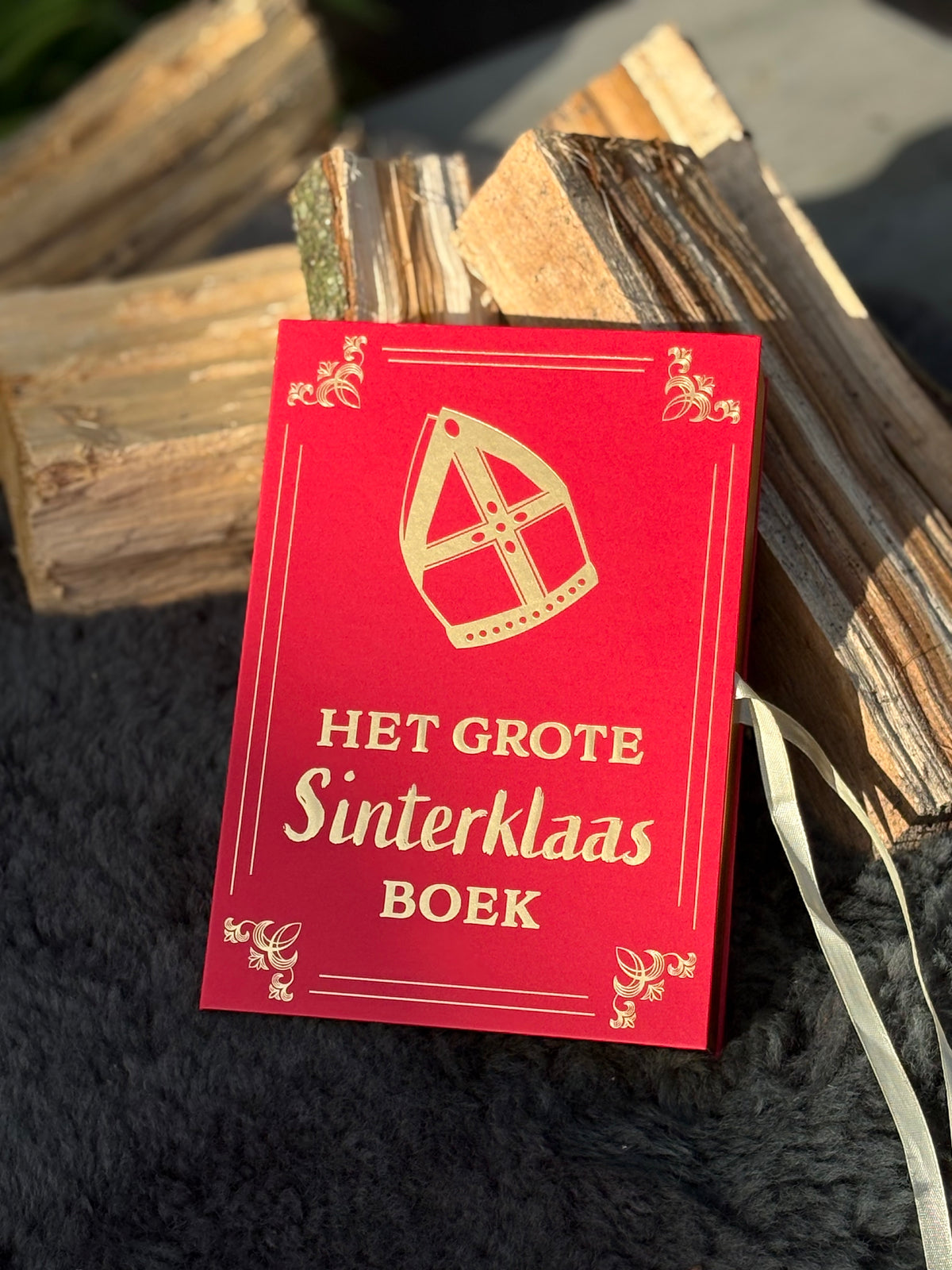 Het Grote Sinterklaas Boek 📕❤️🐾