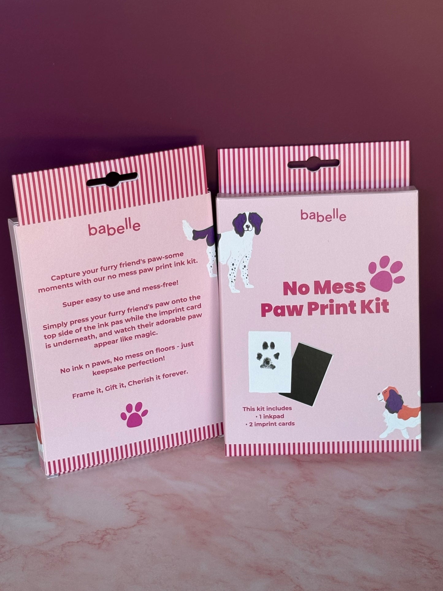 Paw Print Kit