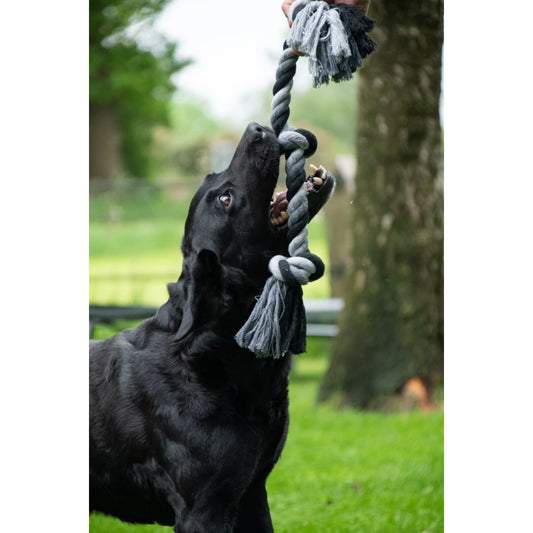 Floss Toss Dental Rope 3 Knot - 55 cm