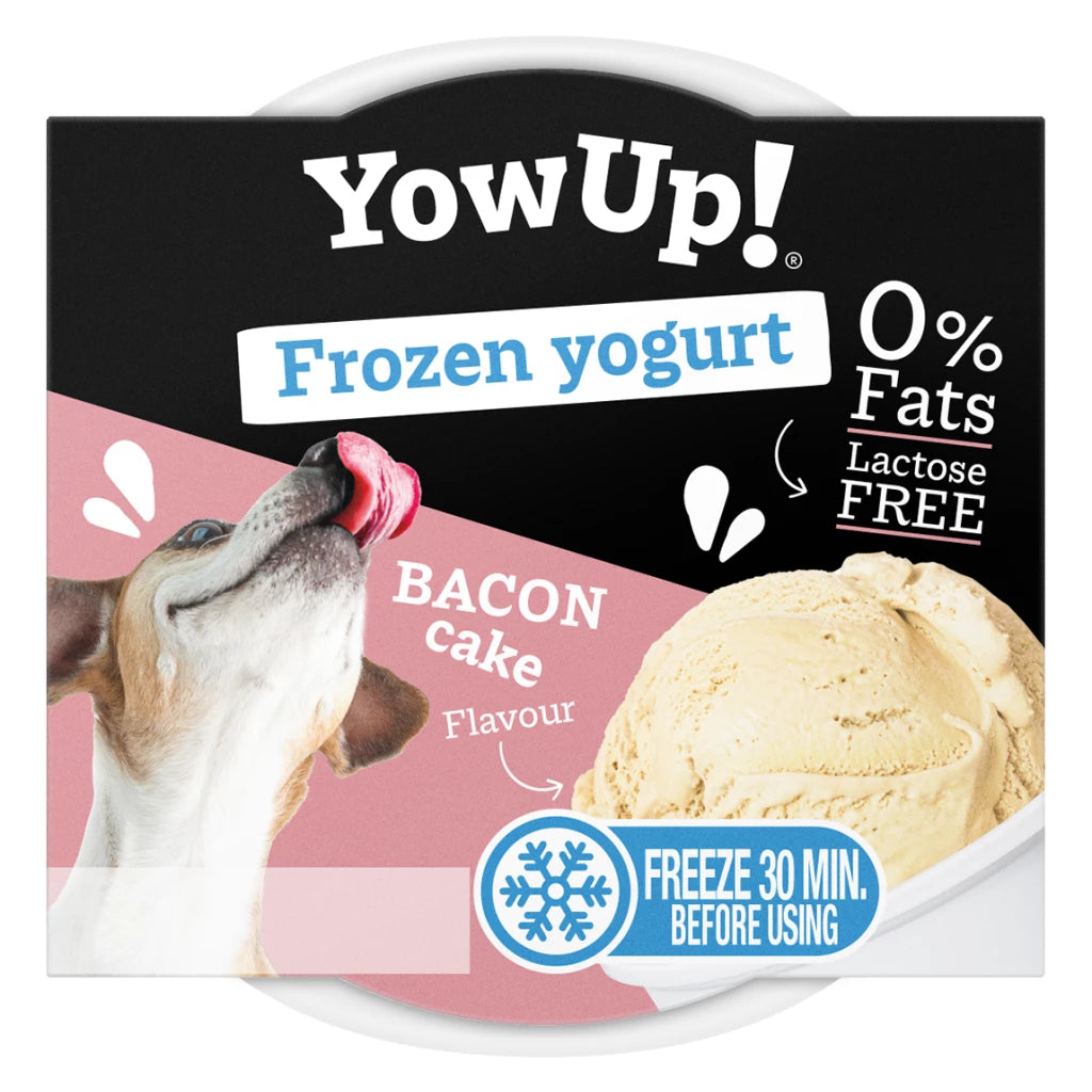 YowUp! Frozen Yoghurt