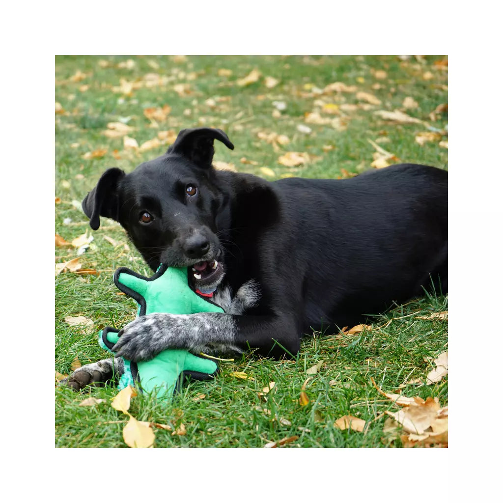 Kong Ballistic Alligator