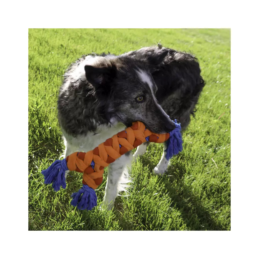 KONG Rope Rally Bot