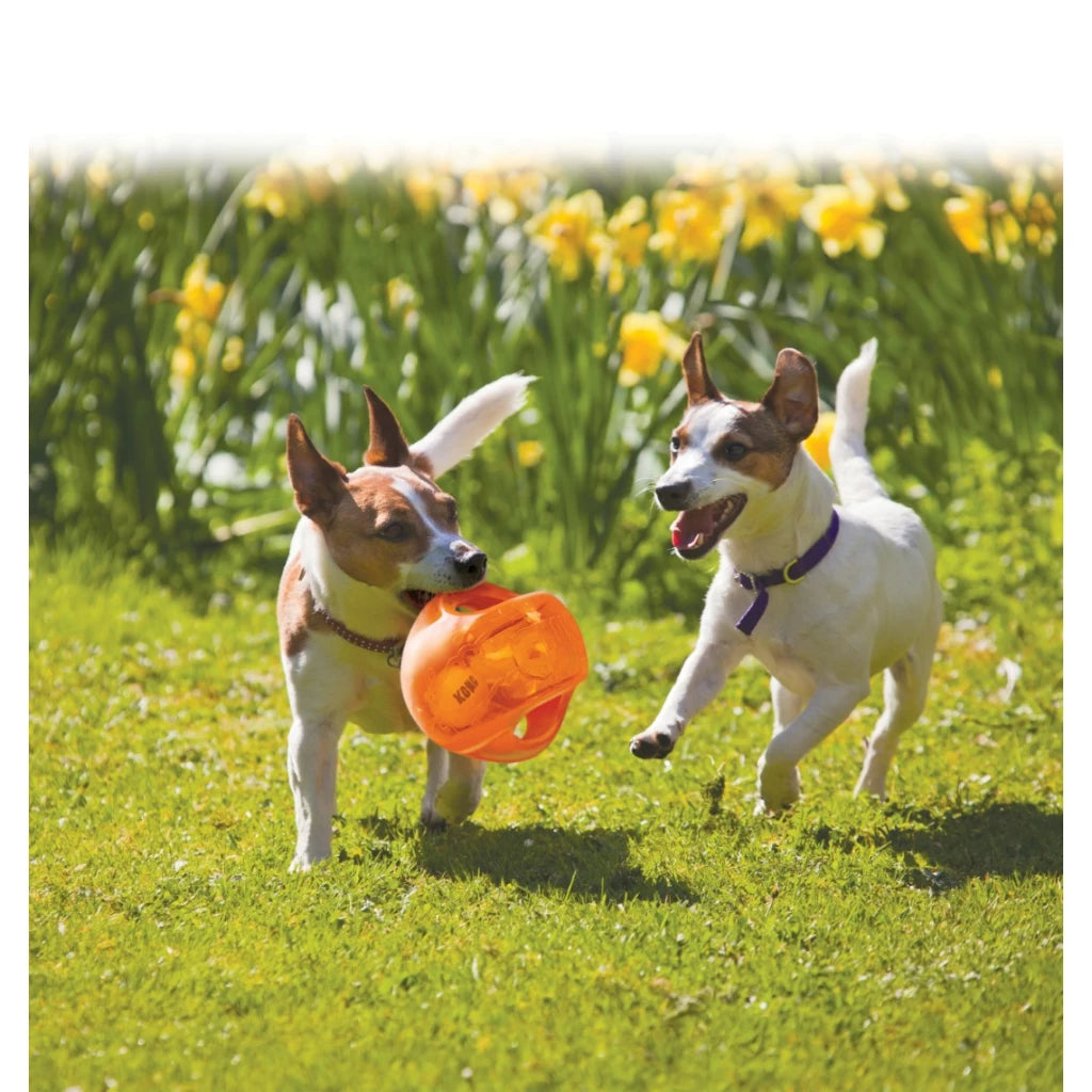 KONG Jumbler Ball Assorti M/L