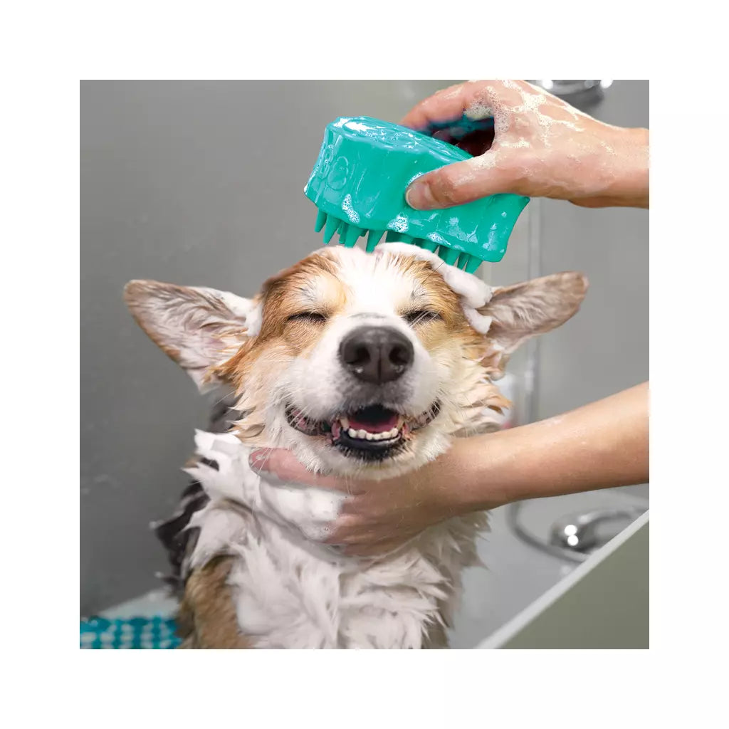 KONG ZoomGroom Bubbles L