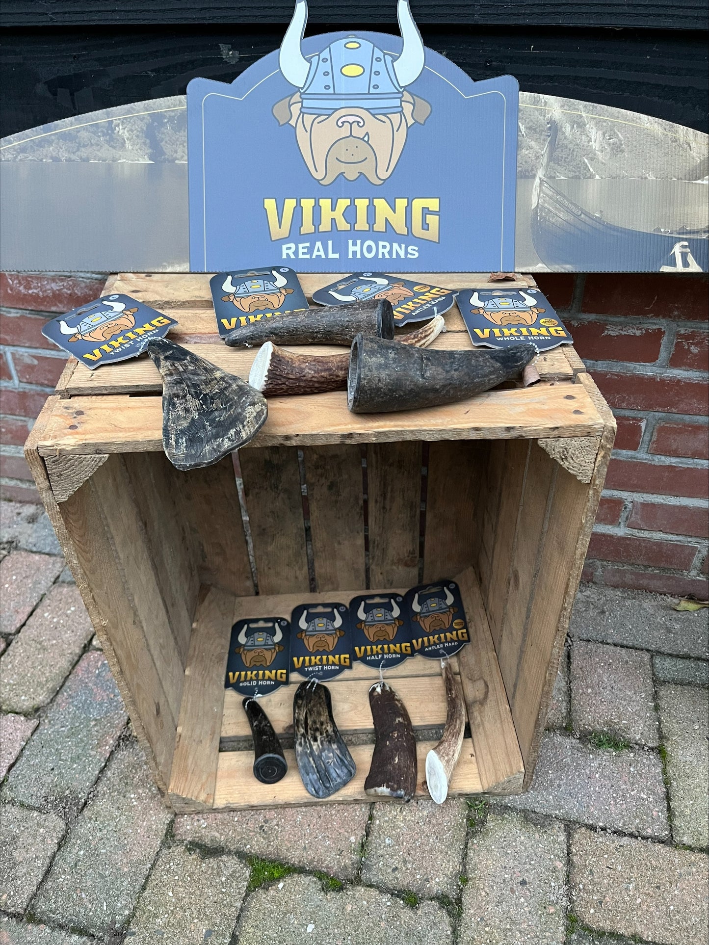 NEW Viking Collection 100% Natural Real Horns