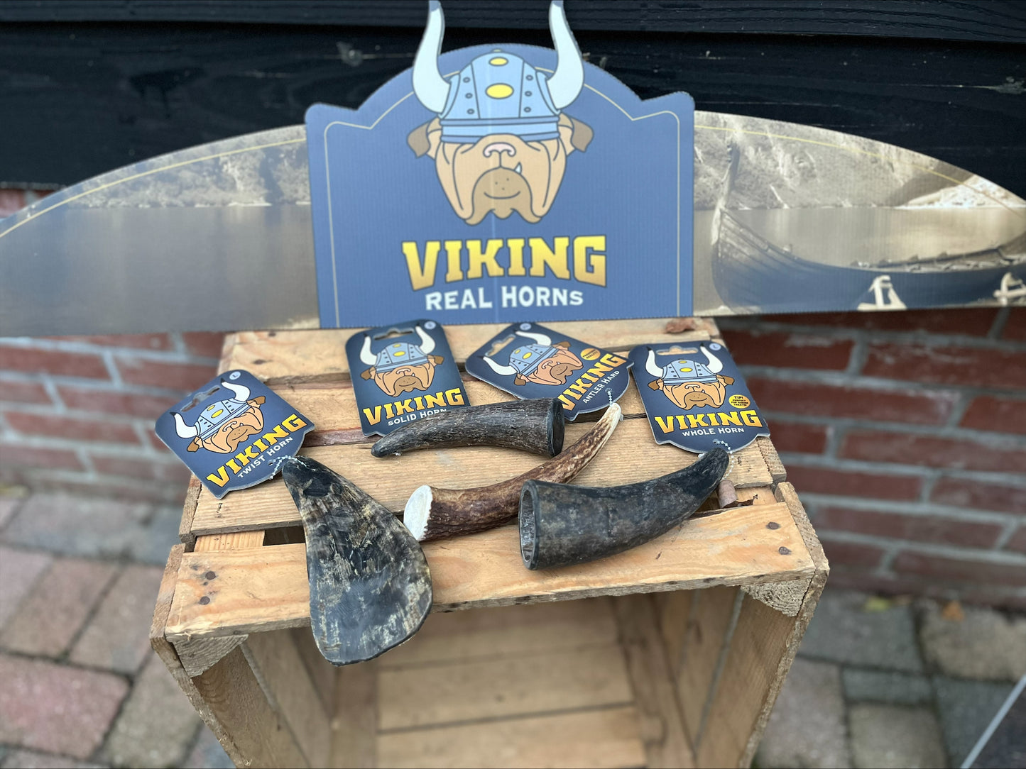 NEW Viking Collection 100% Natural Real Horns