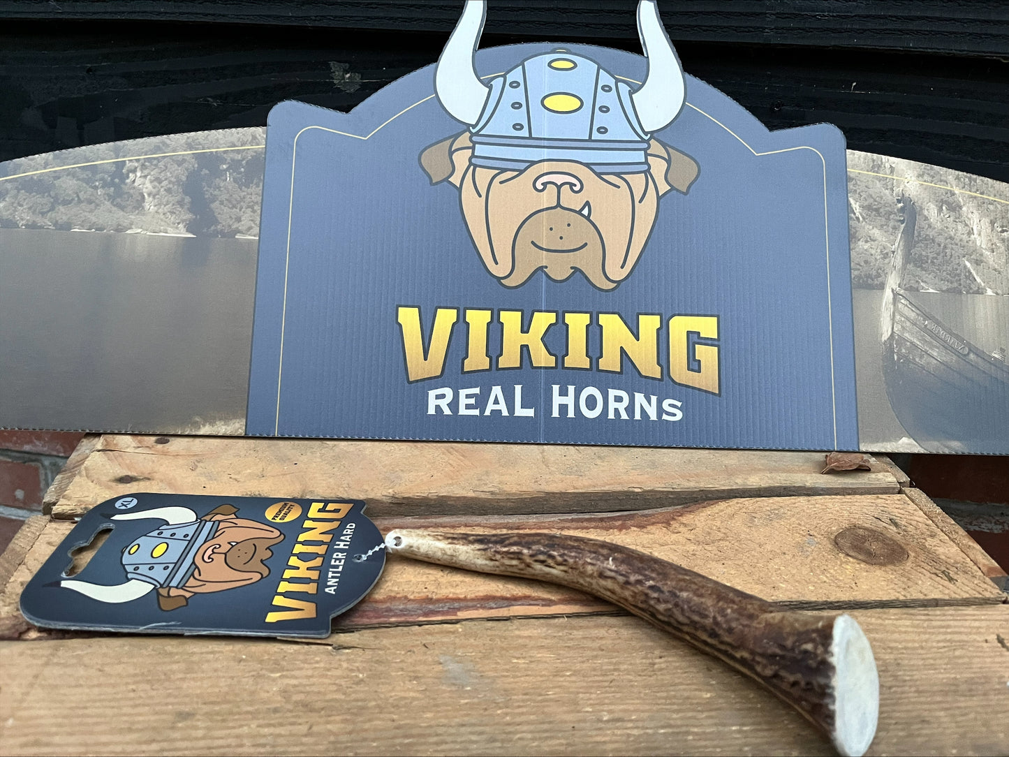 NEW Viking Collection 100% Natural Real Horns