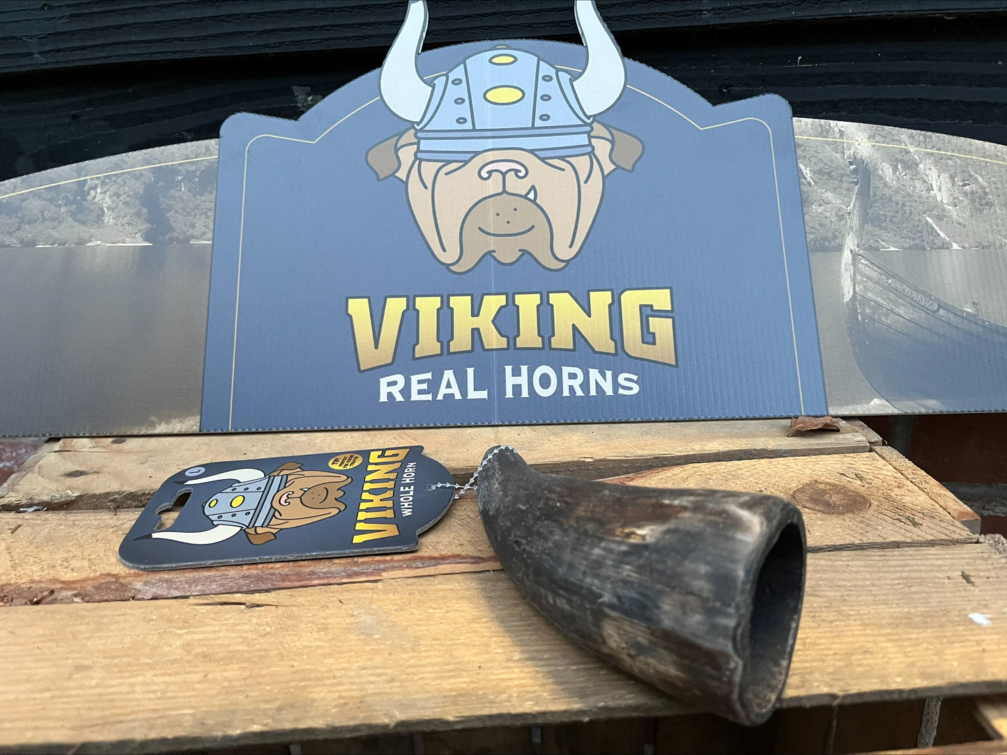 NEW Viking Collection 100% Natural Real Horns